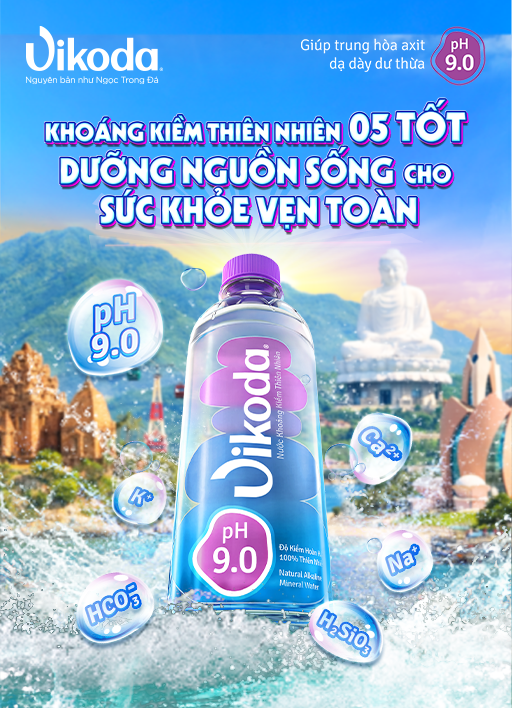 vikoda 512×708